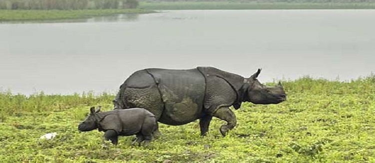 5-Day Kaziranga National Park with Taj Mahal