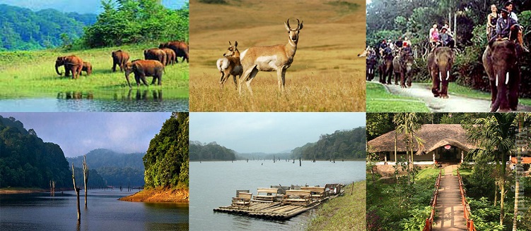 Taj Mahal with chardham Tour