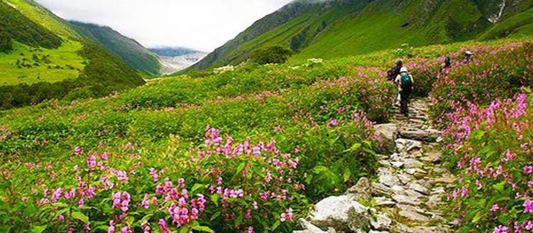 Taj Mahal with chardham Tour
