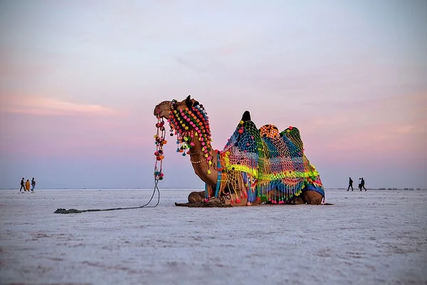 Ahmedabad to Kutch Tour Package - 5 Days / 4 Nights