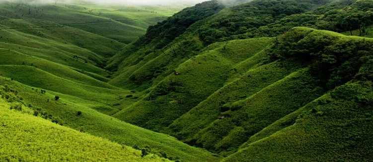 Assam Meghalaya Tour Package - 11 Days / 10 Nights