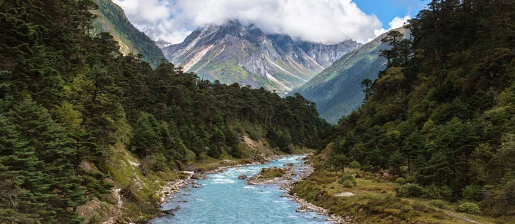 Assam Tour Package - 4 Days / 3 Nights