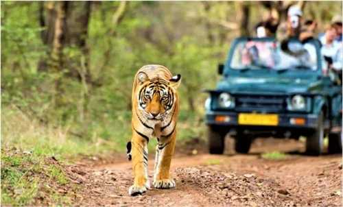 Corbett National Park with Mukteshwar Tour Package - 5 Days / 4 Nights