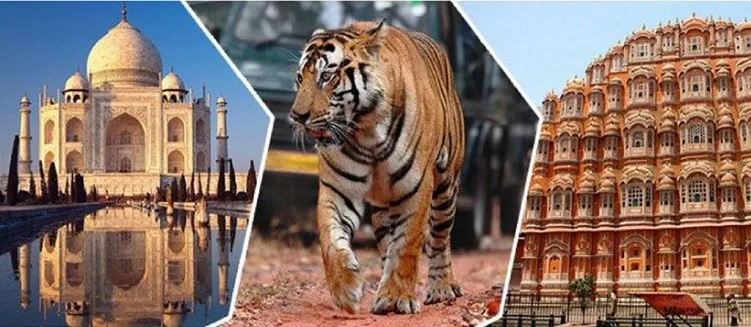 Golden Triangle Wildlife Tour Package - 7 Days / 6 Nights