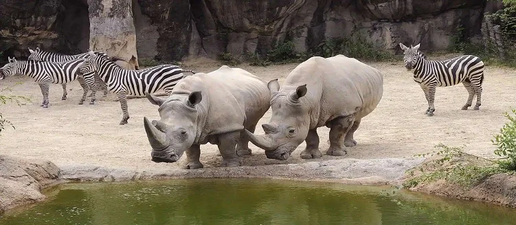 Jasola Wildlife Park Tour Package - 2 Days / 1 Night
