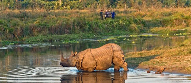Kaziranga One-Horned Rhino Safari Tour - 3 Days / 2 Nights