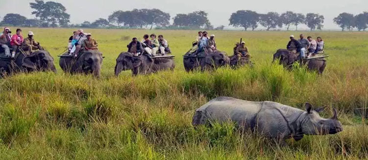 Kaziranga Wildlife Safari Tour - 3 Days / 2 Nights