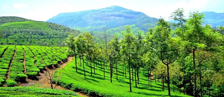 Kerala Summer Vacation Tour Package - 9 Days / 8 Nights
