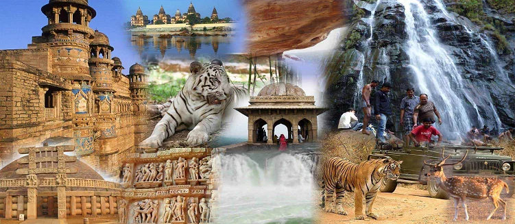 Madhya Pradesh Wildlife and Religious Tour Package - 14 Days / 13 Nights