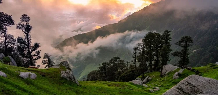 Taj Mahal Tour with Himalayan National Park - 7 Days / 6 Nights