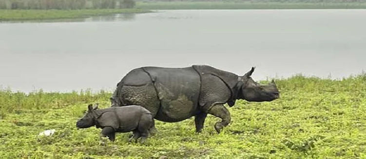 Taj Mahal Tour with Kaziranga National Park - 5 Days / 4 Nights